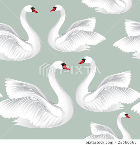 Seamless pattern with white bird swan. 28560563