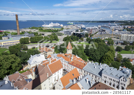 從塔林聖Oref高聳的老鎮和港口的頂上的看法，愛沙尼亞首都 28561117