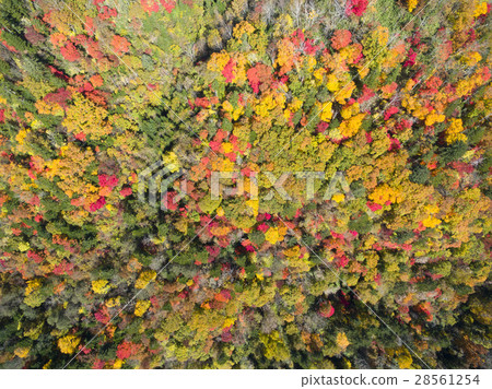 Eniwa Valley in the fall (Aerial photographing overhead view) 28561254