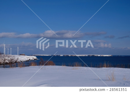 Hamamatsu Coast Yuri Island Moyuluri Island (Nemuro City) 28561351