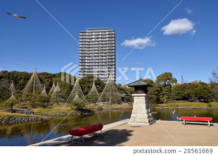 Japanese garden and apartment Japanese garden and apartment 28561669
