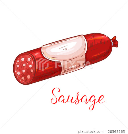 Sausage kielbasa vector isolated icon Sausage kielbasa vector isolated icon 28562265