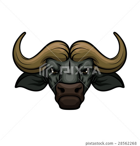 Buffalo head muzzle vector mascot icon 28562268