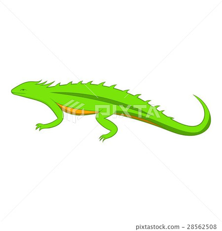 Green lizard icon, cartoon style 28562508