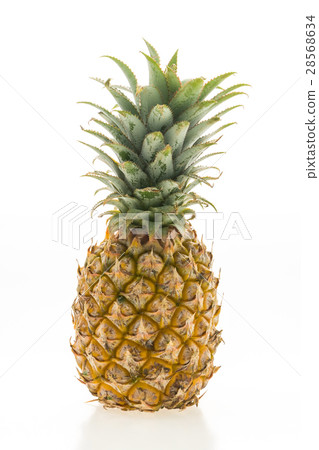 Pineapple fruit Pineapple fruit 28568634