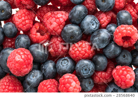 Blueberry and Rasberry fruit Blueberry and Rasberry fruit 28568640
