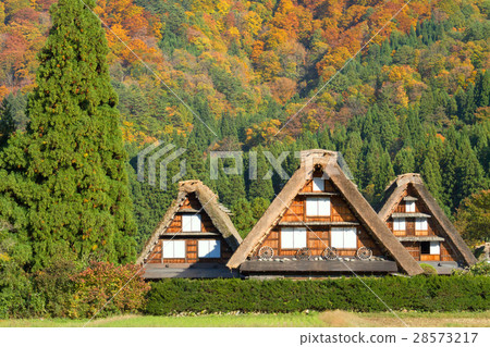 Gifu _ Shirakawago of autumn leaves 28573217