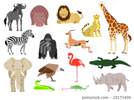 非洲動物設置顏色材料 非洲動物設置顏色材料 28573409