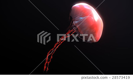 Jellyfish underwater going to the sun isolated on 28573419