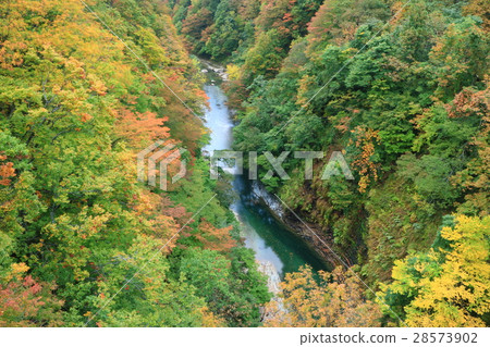 秋天的上帝在秋天 28573902