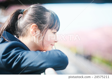 High school students and cherry blossoms 28575211