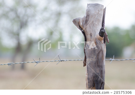 Stretched barbed fence with trees around the farm  28575306