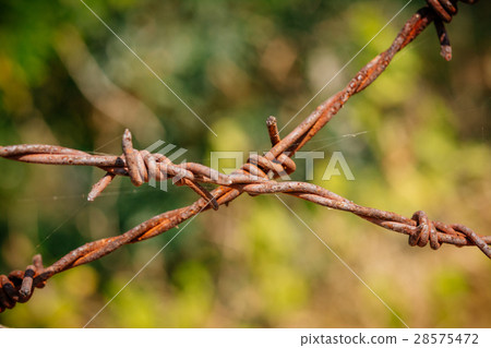 rusty barbed wire on natural background. 28575472