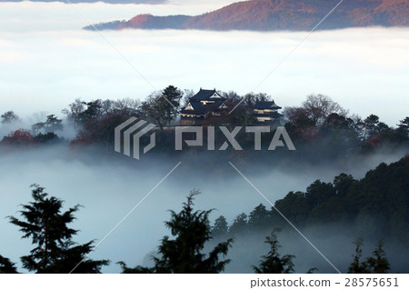 Castle in the sky 8660+ 28575651