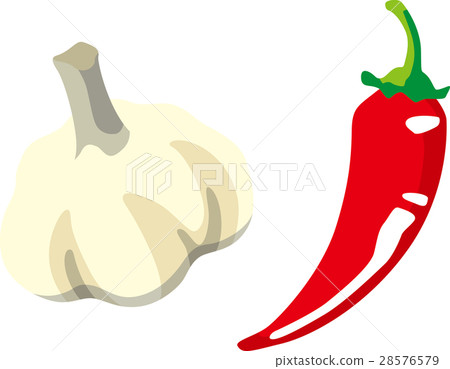 Illustration of simple garlic and capsicum 28576579