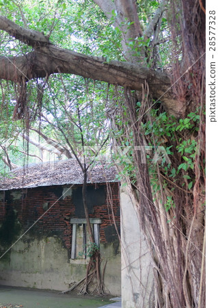 安平樹店 28577328