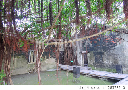 安平樹店 安平樹店 28577340