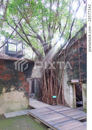 Anping tree store 28577342