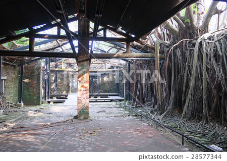 Anping tree store Anping tree store 28577344