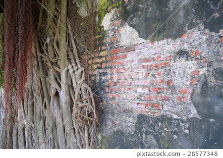 安平樹店 安平樹店 28577348