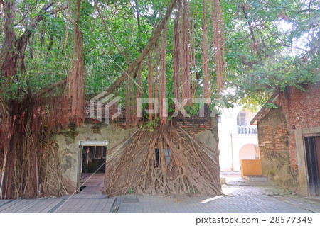 安平樹店 安平樹店 28577349