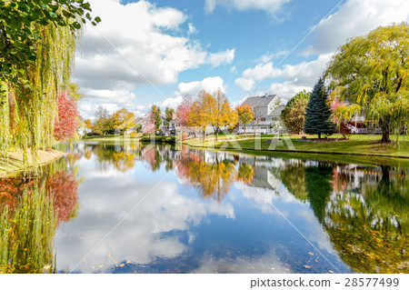 Pond in the Fall Pond in the Fall 28577499