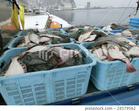 Fishery catch net stone netting Fishery catch net stone netting 28579562