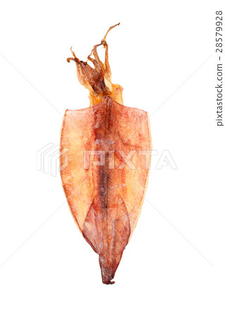 dried squid 28579928