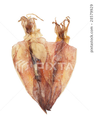 dried squid dried squid 28579929