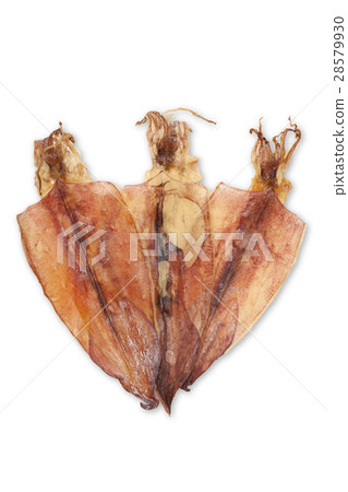 dried squid 28579930