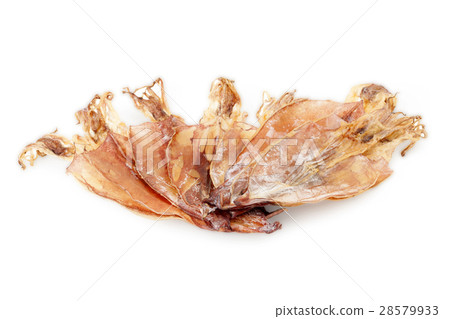 dried squid dried squid 28579933