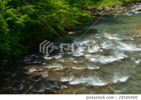 Shooting river and fresh green rising with snow melting water 28580400