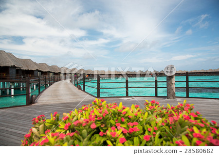  Water cottage 28580682