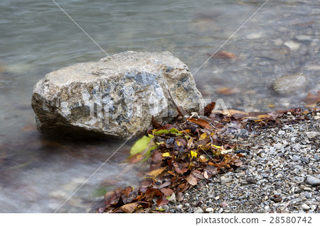 Stone in a lake in autumn with colorful leaves 28580742