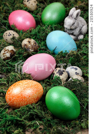 Easter colored eggs Easter colored eggs 28580924