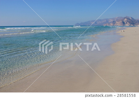 阿曼塞拉萊也門附近的一個安靜的海灘 阿曼塞拉萊也門附近的一個安靜的海灘 28581558