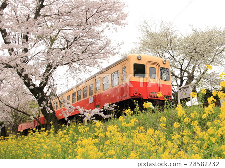 我會去春季市場 我會去春季市場 28582232