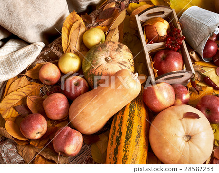 autumn background, fruits and vegetables, rural autumn background, fruits and vegetables, rural 28582233