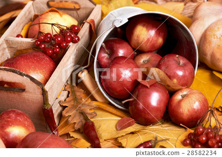 autumn background, fruits and vegetables, rural autumn background, fruits and vegetables, rural 28582234