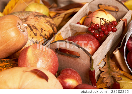 autumn background, fruits and vegetables, rural autumn background, fruits and vegetables, rural 28582235