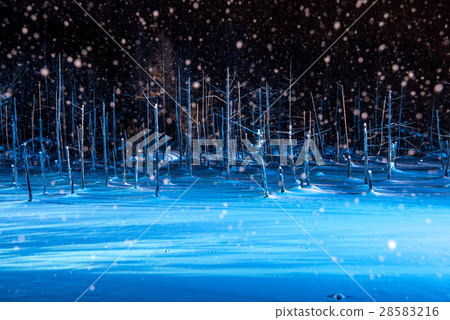 Biei blue pond light up 28583216