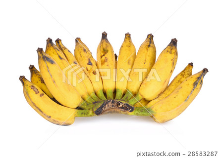 Cultivate Yellow Asian banana isolated on white  28583287