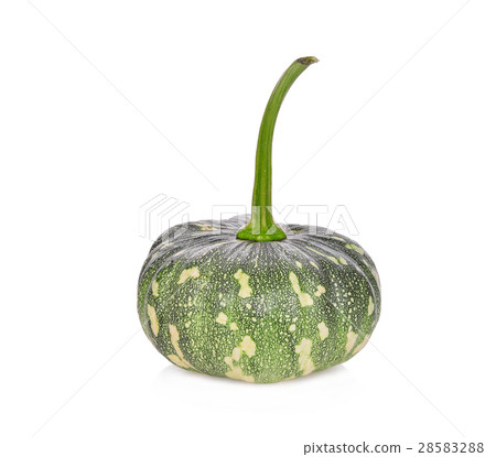 green pumpkin isolated on white background 28583288