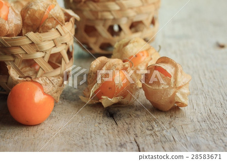 cape gooseberry cape gooseberry 28583671