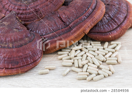 Ling zhi mushroom or Ganoderma lucidum capsule 28584936