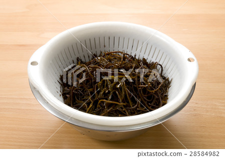 返回Hijiki 返回Hijiki 28584982