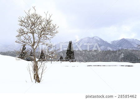 Snow mountain plateau of snowy landscape 28585462