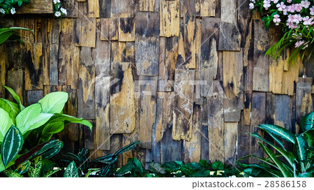 Old wood background vertical. Old wood background vertical. 28586158