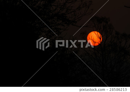 Sunset in the evening. 28586213