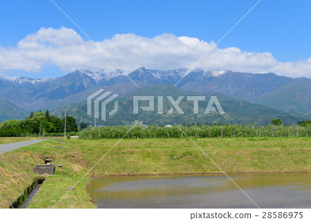 長野中央阿爾卑斯山和伊那谷鄉村風光 28586975